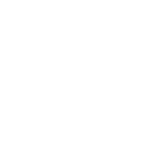 Whatsapp Icon